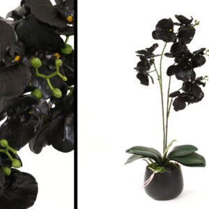 עציץ סחלב סיליקון שחור בצבע שחור במידות 58cm