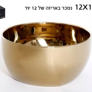 בול נירוסטה זהב (מכירה ב-12 יח') DREAM CHEF