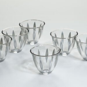 סט 6 כוסות קפה crystalin anser titanium
