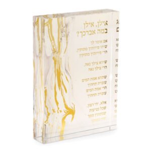 מעמד אקריליק בולד אילן אילן